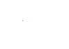 Viaveo